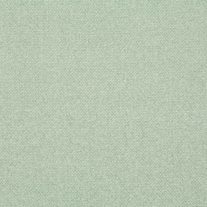 Chivasso Bonsai Reboot Colour 24