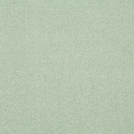 Chivasso Bonsai Reboot Colour 24