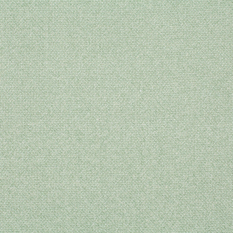 Chivasso Bonsai Reboot Colour 24