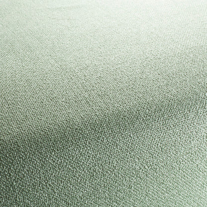 Chivasso Bonsai Reboot Colour 24