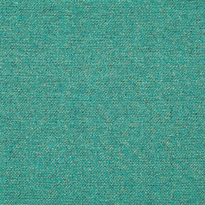 Chivasso Bonsai Reboot Colour 25