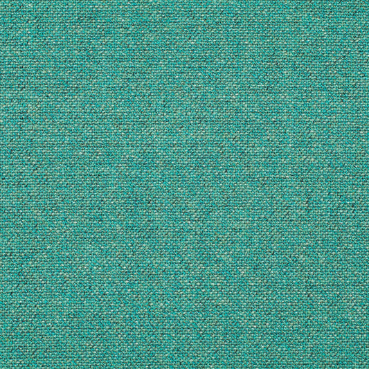 Chivasso Bonsai Reboot Colour 25