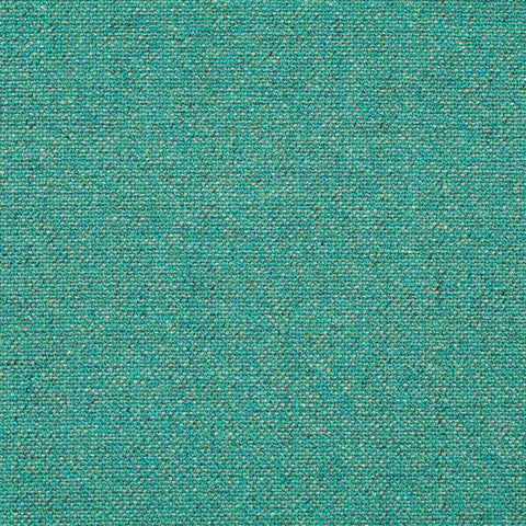 Chivasso Bonsai Reboot Colour 25