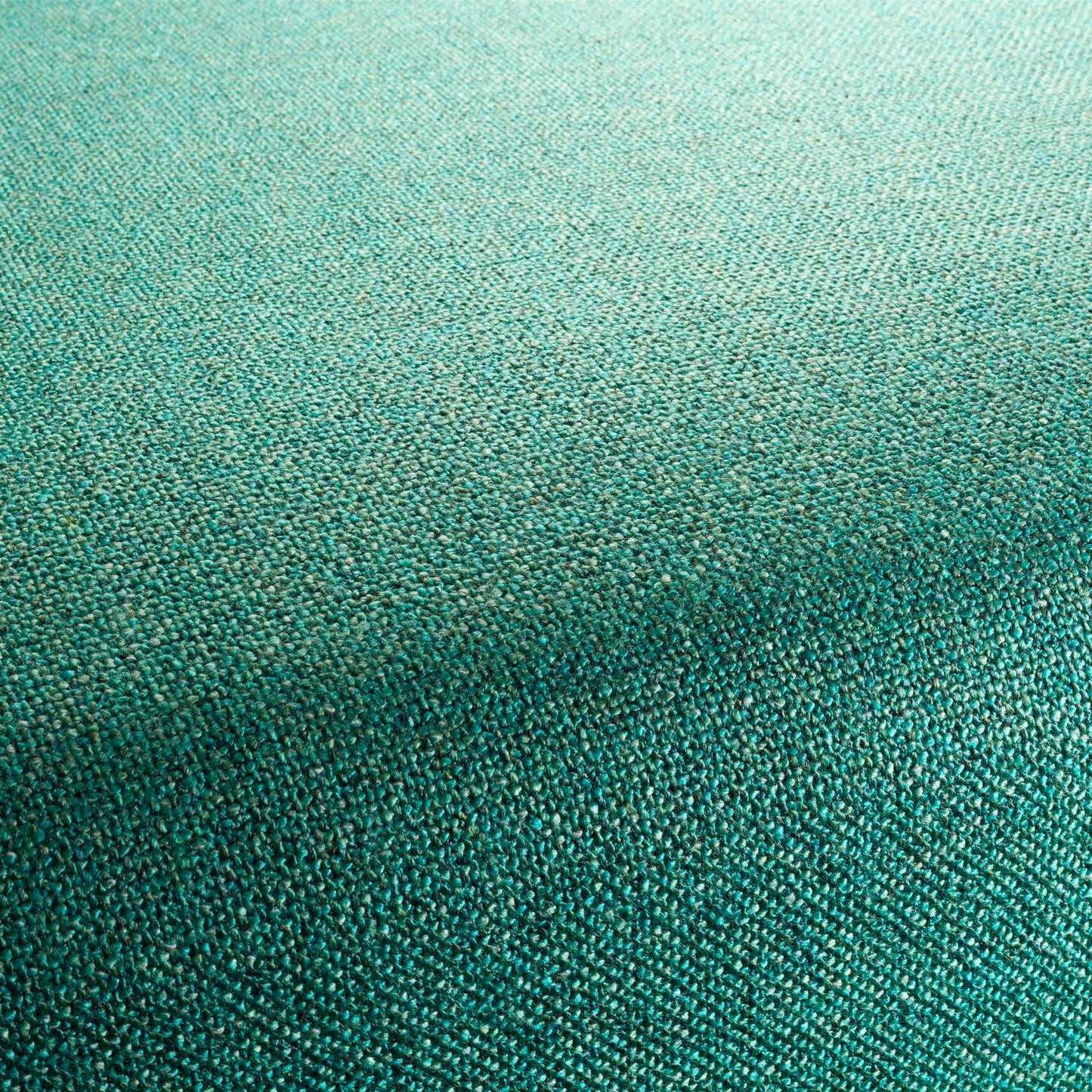 Chivasso Bonsai Reboot Colour 25