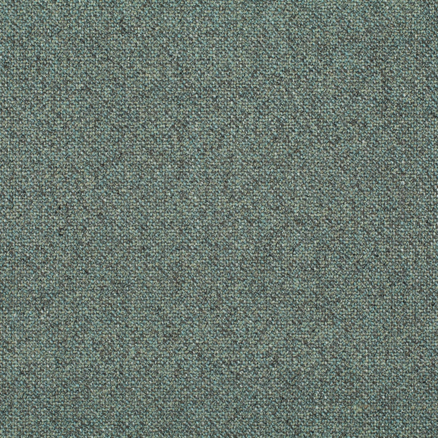 Chivasso Bonsai Reboot Colour 27