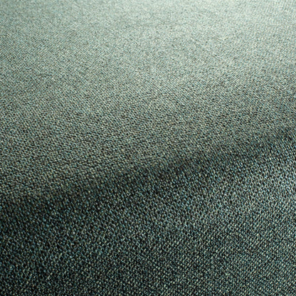 Chivasso Bonsai Reboot Colour 27