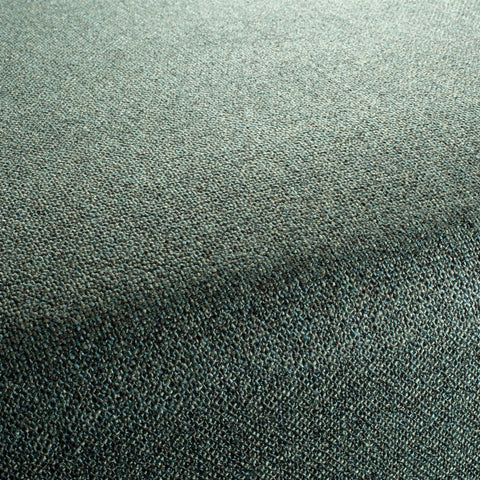 Chivasso Bonsai Reboot Colour 27