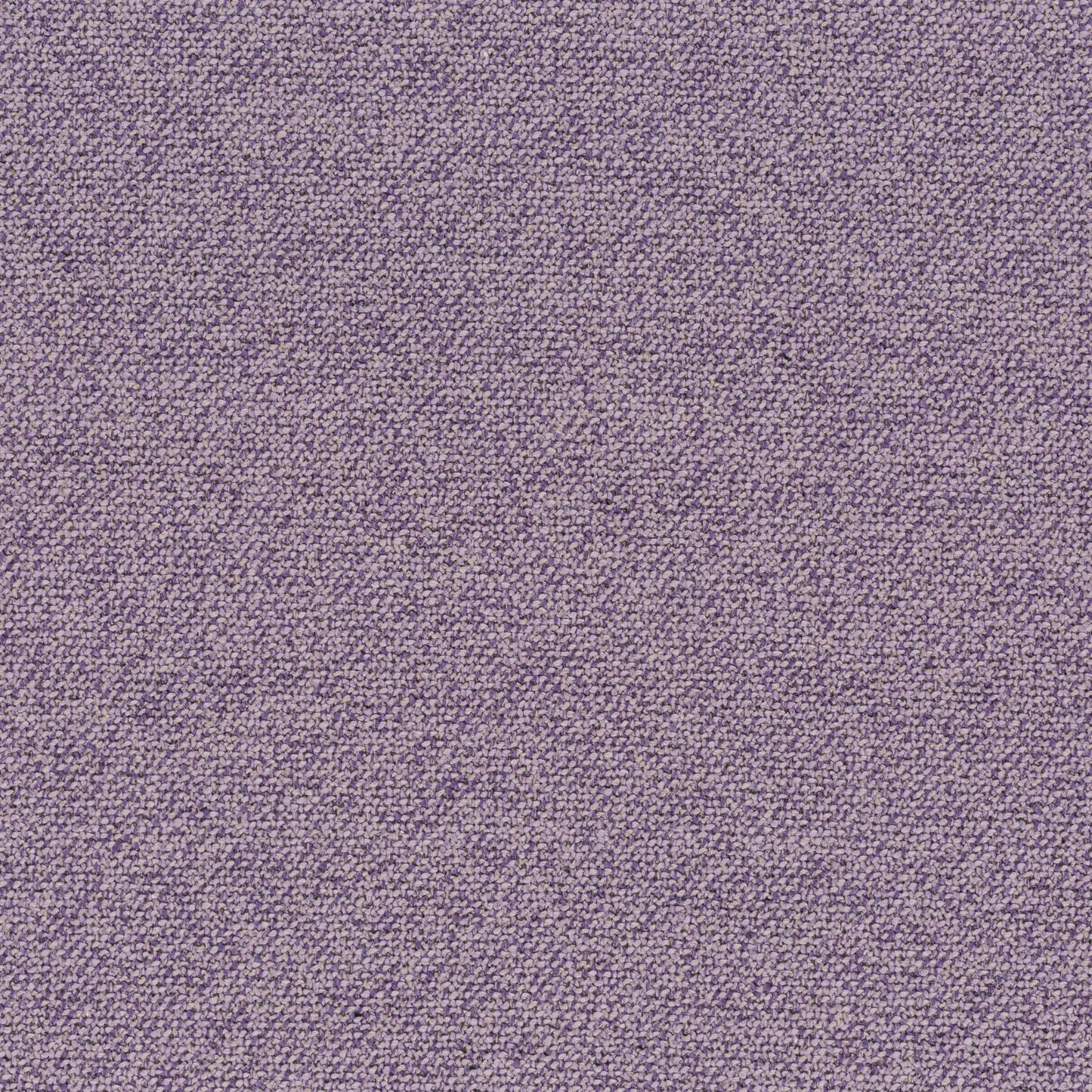 Chivasso Bonsai Reboot Colour 38