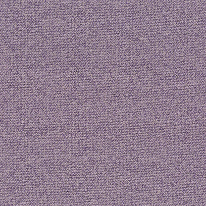 Chivasso Bonsai Reboot Colour 38