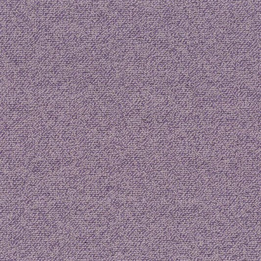 Chivasso Bonsai Reboot Colour 38