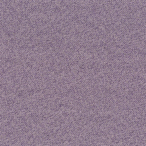 Chivasso Bonsai Reboot Colour 38