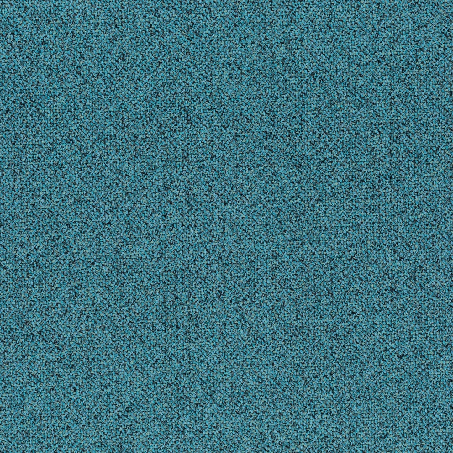 Chivasso Bonsai Reboot Colour 26