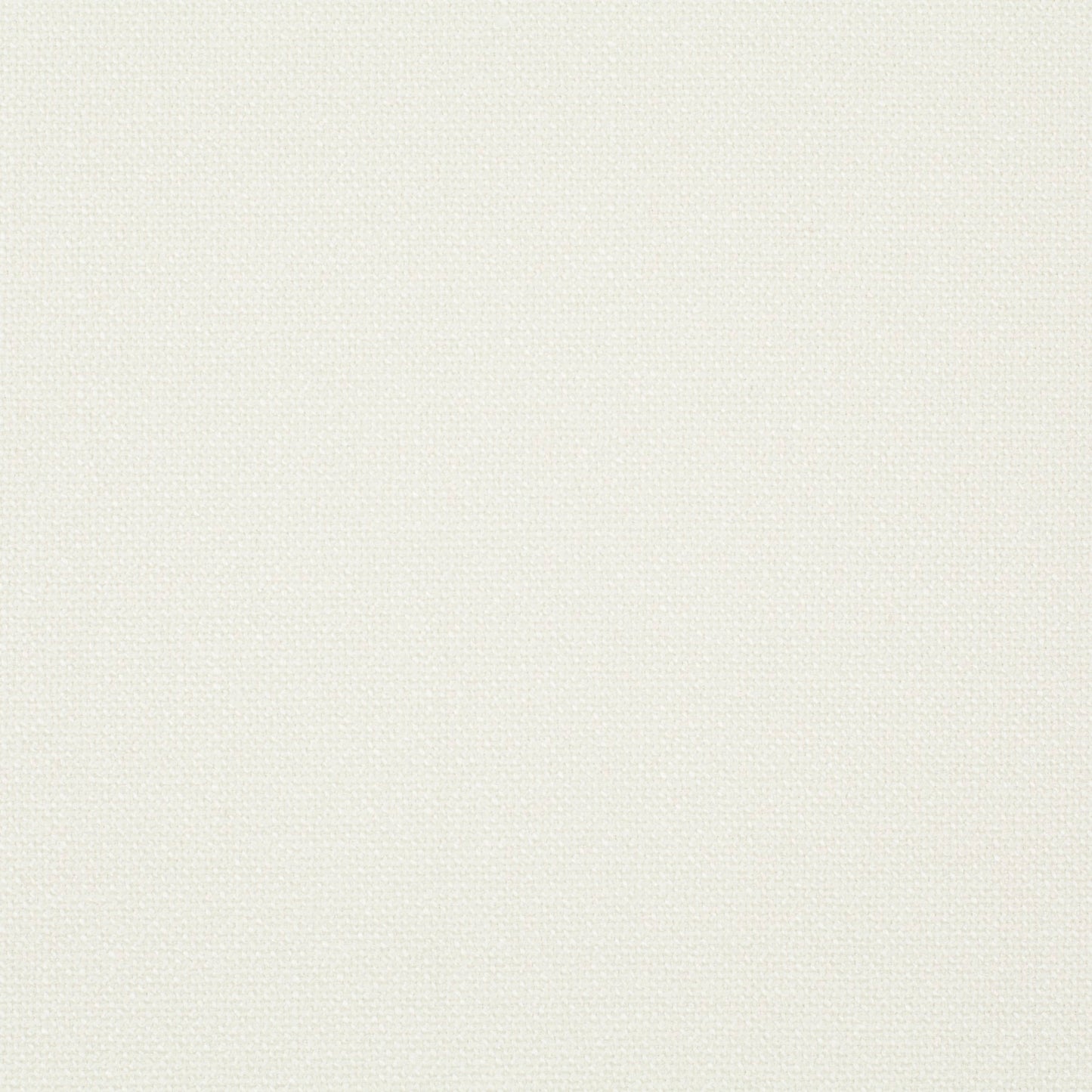 Chivasso Bonsai Reboot Colour 2