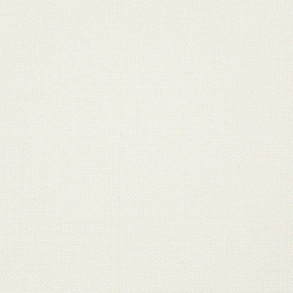 Chivasso Bonsai Reboot Colour 2