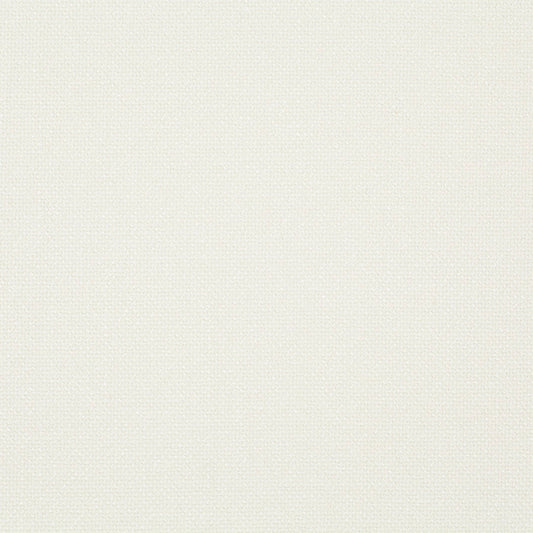 Chivasso Bonsai Reboot Colour 2