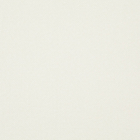 Chivasso Bonsai Reboot Colour 2