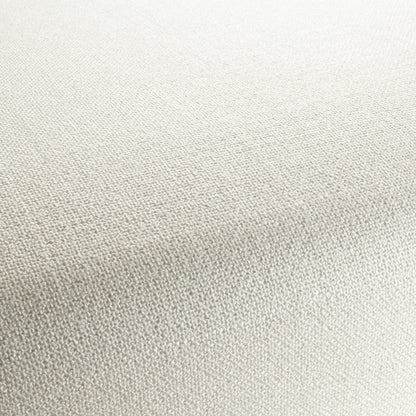 Chivasso Bonsai Reboot Colour 2