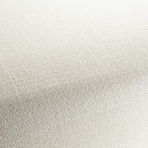 Chivasso Bonsai Reboot Colour 2