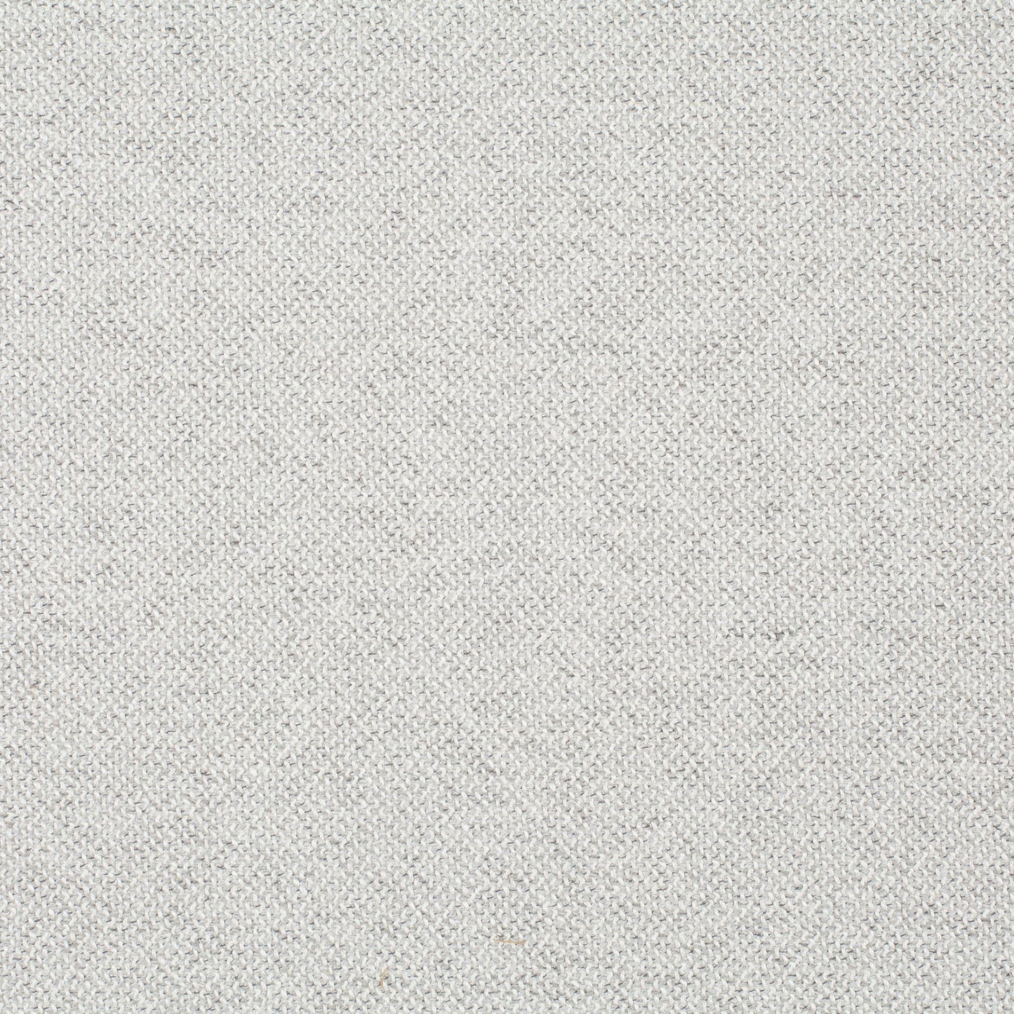 Chivasso Bonsai Reboot Colour 66