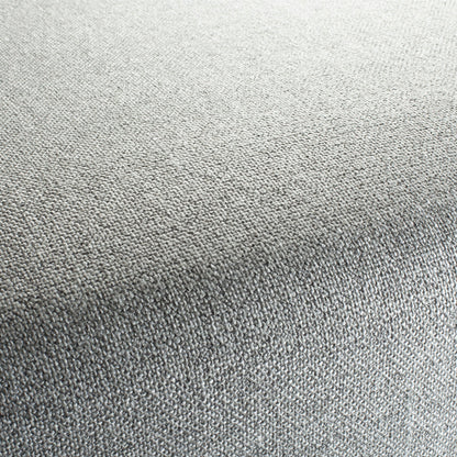 Chivasso Bonsai Reboot Colour 67