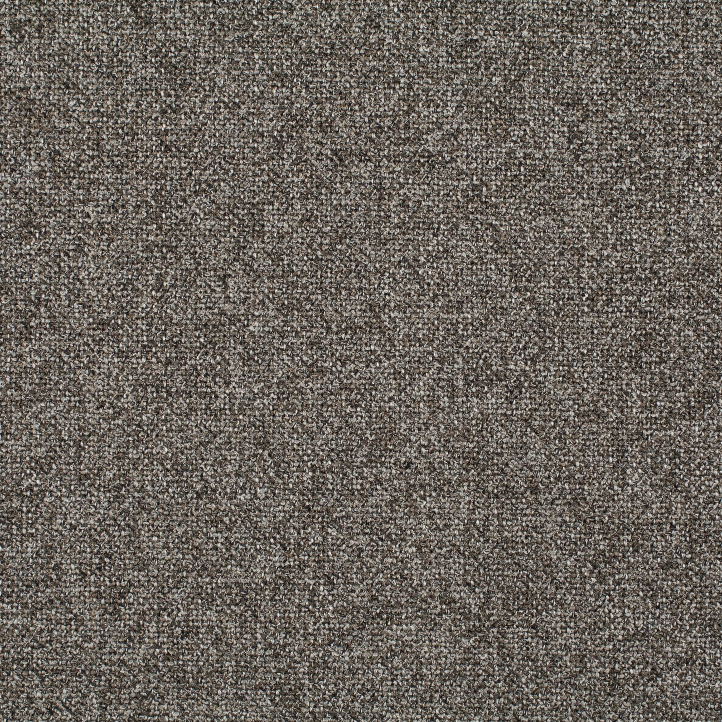 Chivasso Bonsai Reboot Colour 74