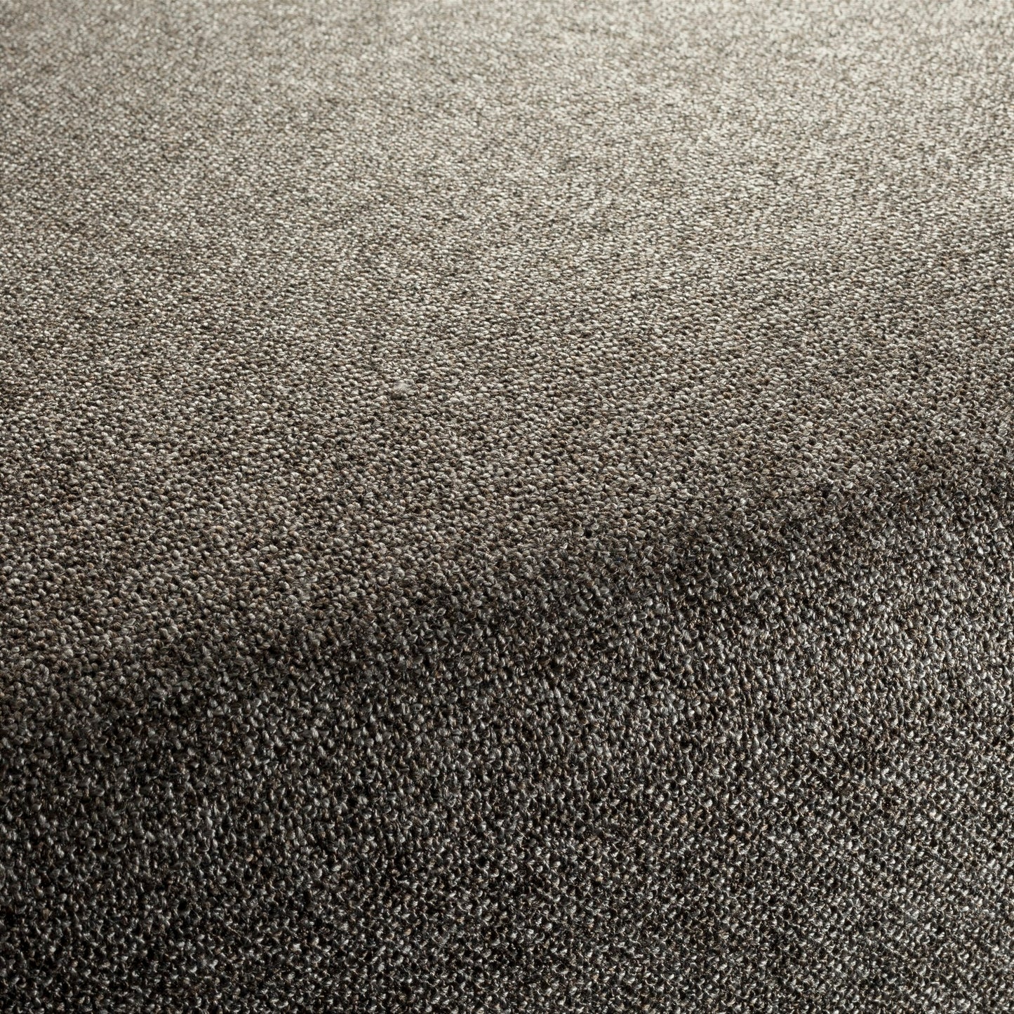 Chivasso Bonsai Reboot Colour 74