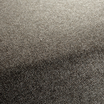 Chivasso Bonsai Reboot Colour 74