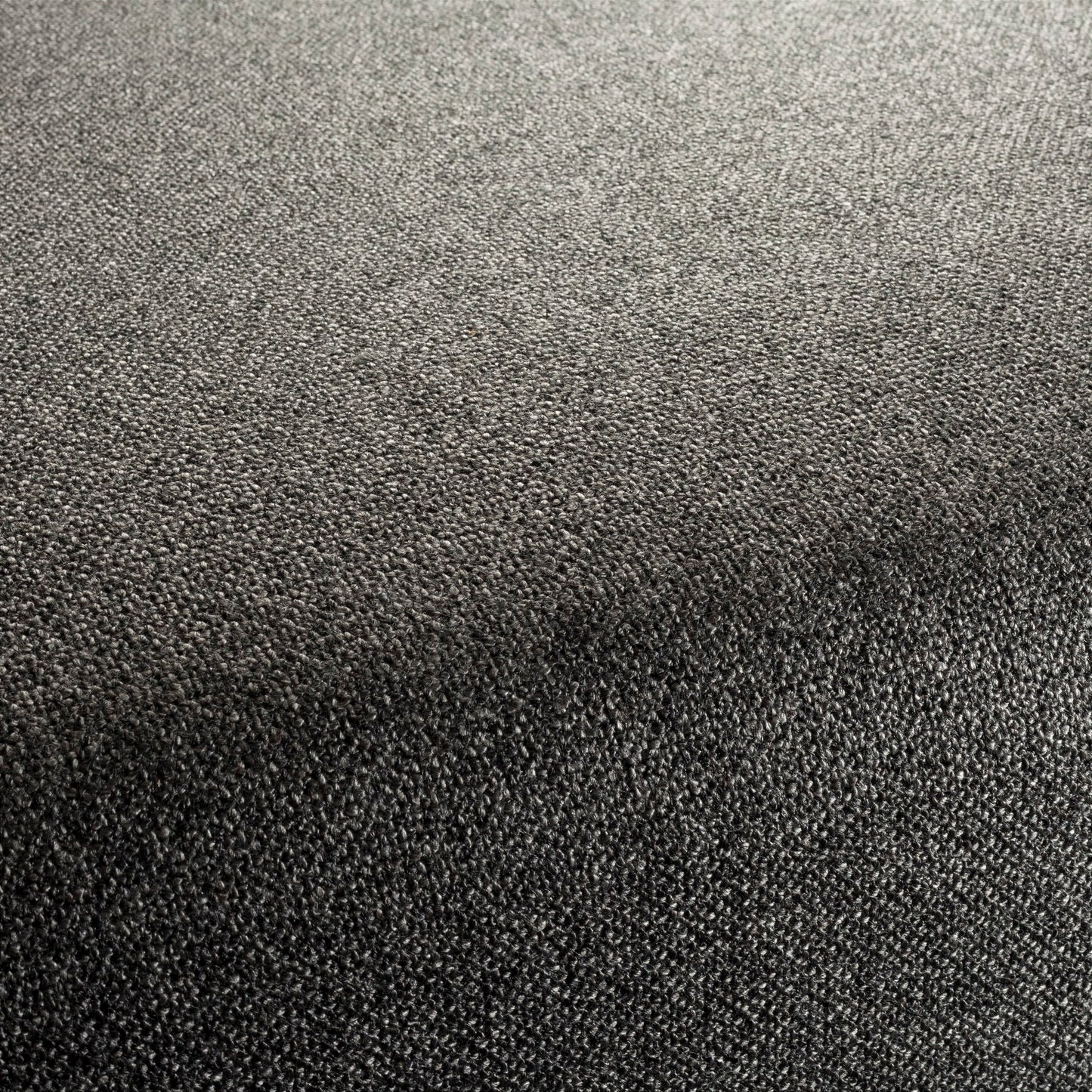 Chivasso Bonsai Reboot Colour 75