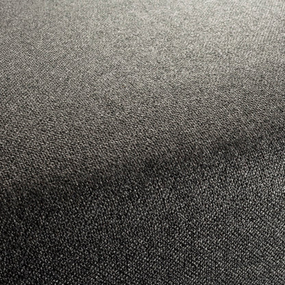 Chivasso Bonsai Reboot Colour 75