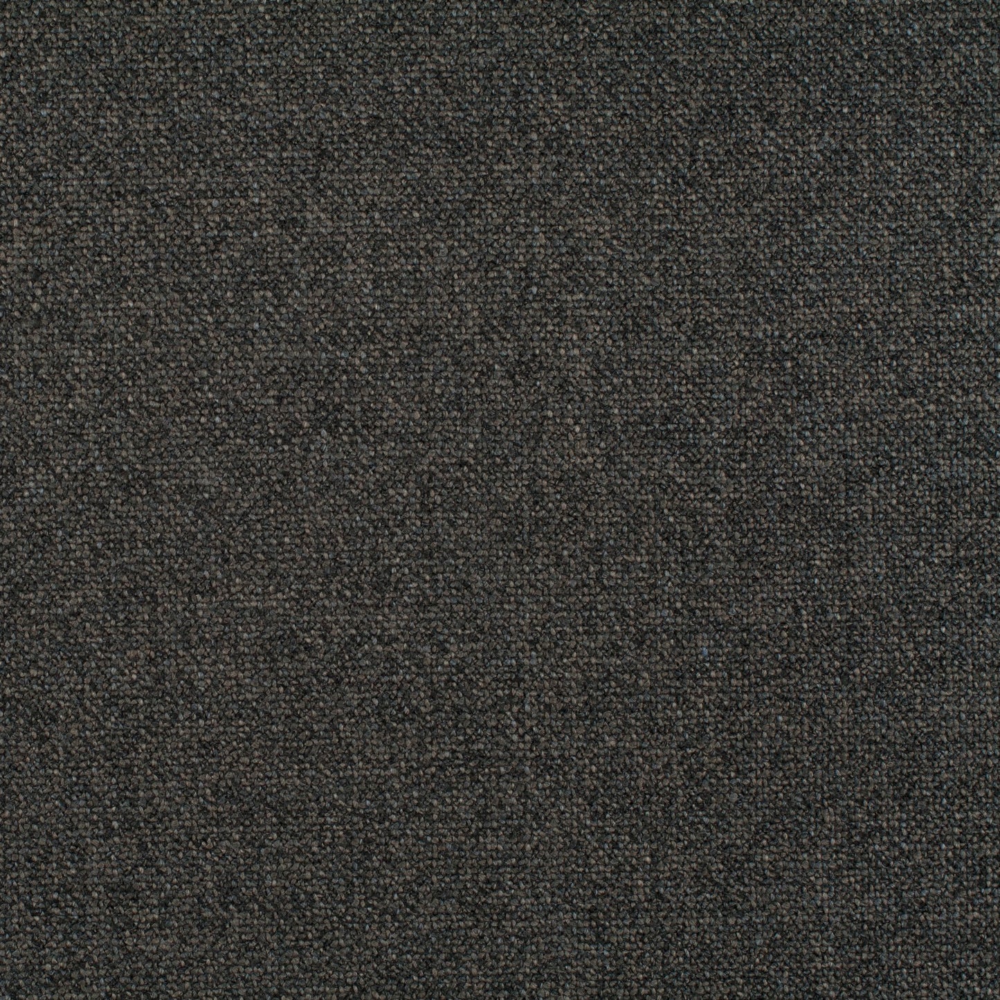 Chivasso Bonsai Reboot Colour 77