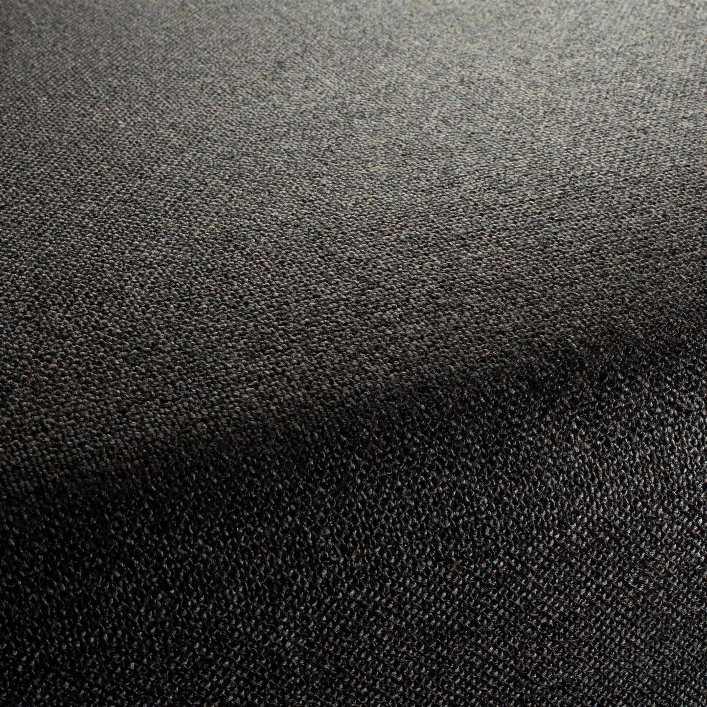 Chivasso Bonsai Reboot Colour 77