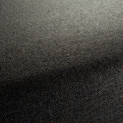 Chivasso Bonsai Reboot Colour 77