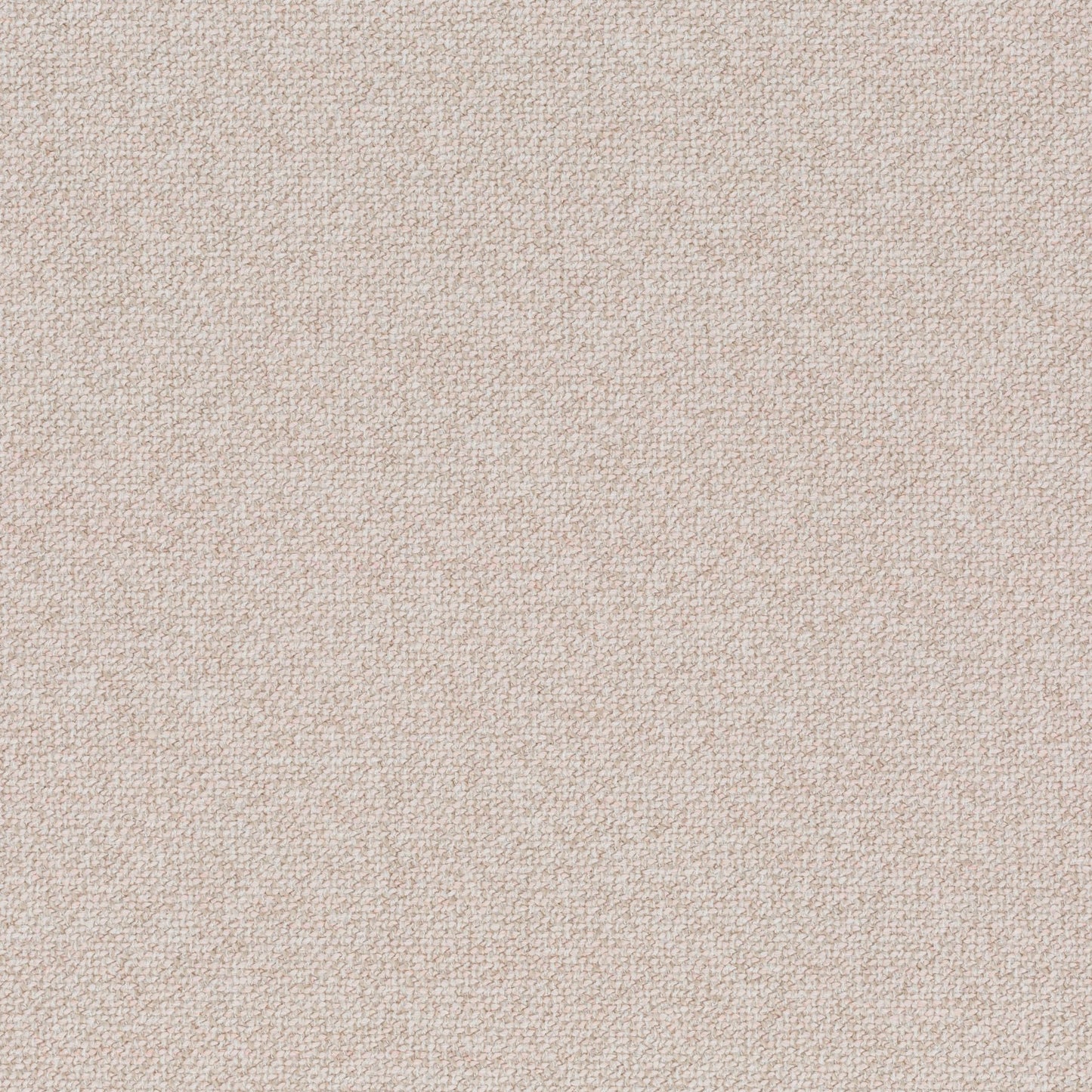 Chivasso Bonsai Reboot Colour 4