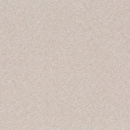 Chivasso Bonsai Reboot Colour 4