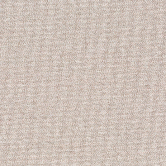 Chivasso Bonsai Reboot Colour 4