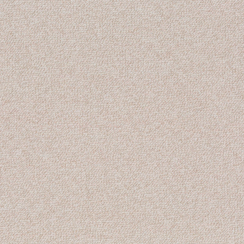 Chivasso Bonsai Reboot Colour 4