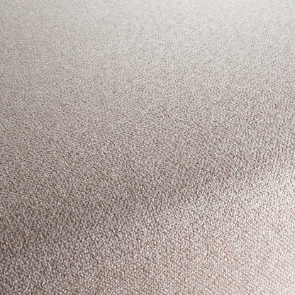 Chivasso Bonsai Reboot Colour 4