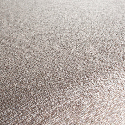 Chivasso Bonsai Reboot Colour 4