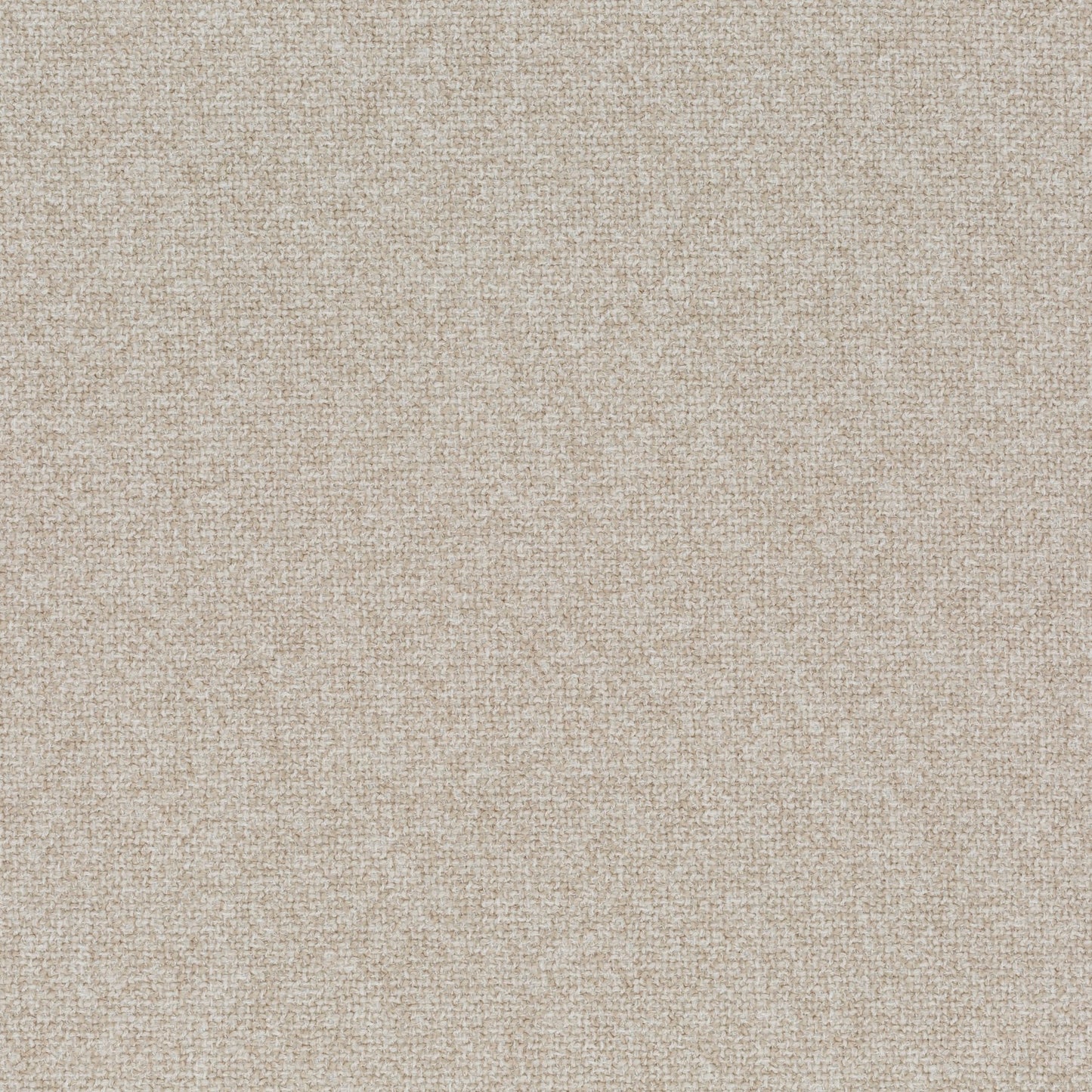 Chivasso Bonsai Reboot Colour 8