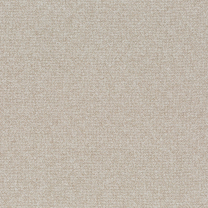 Chivasso Bonsai Reboot Colour 8