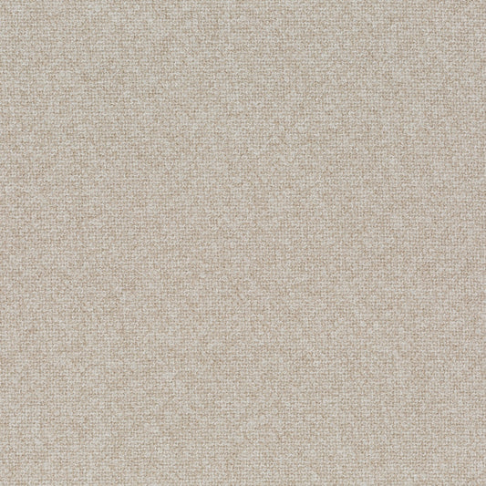 Chivasso Bonsai Reboot Colour 8