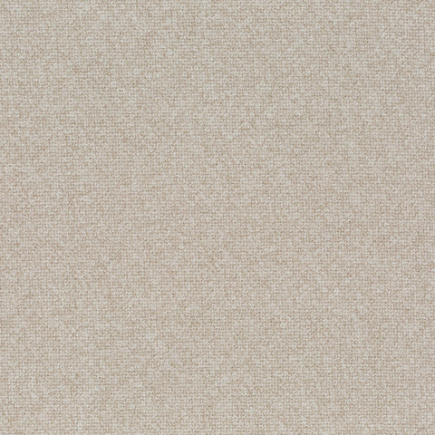 Chivasso Bonsai Reboot Colour 8