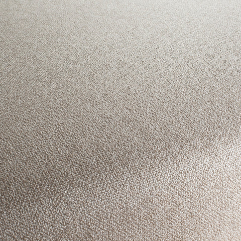 Chivasso Bonsai Reboot Colour 8