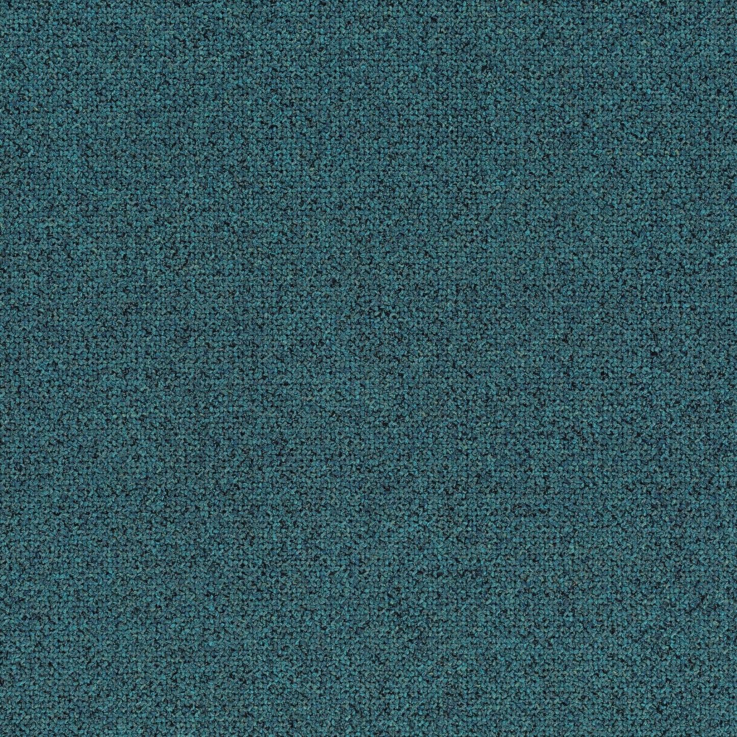 Chivasso Bonsai Reboot Colour 30