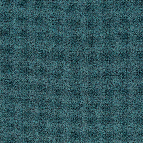 Chivasso Bonsai Reboot Colour 30