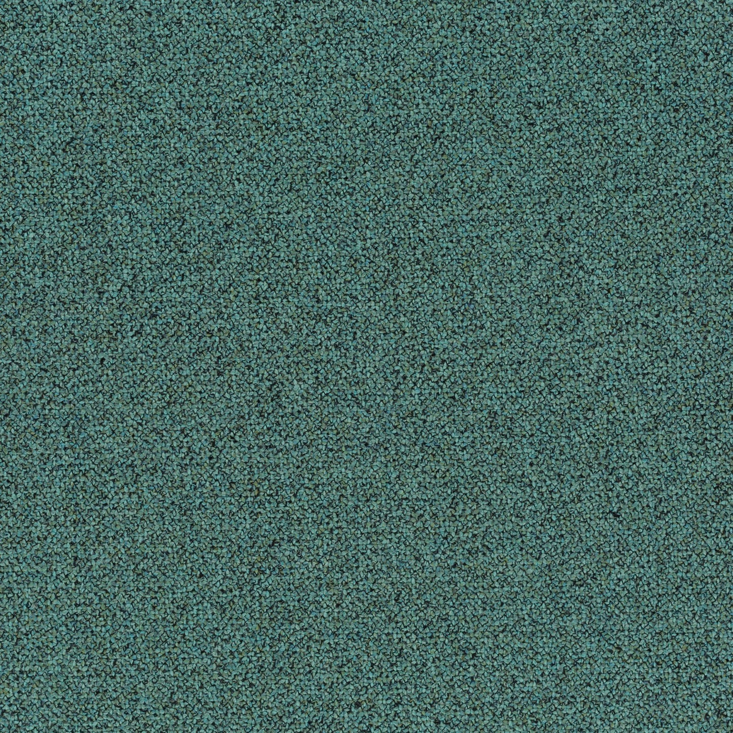 Chivasso Bonsai Reboot Colour 29