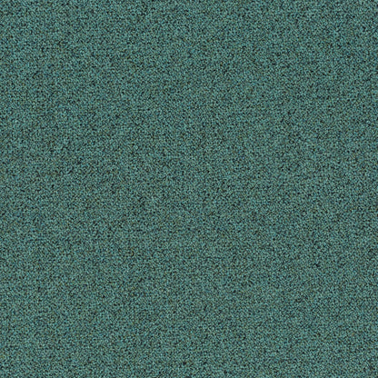 Chivasso Bonsai Reboot Colour 29