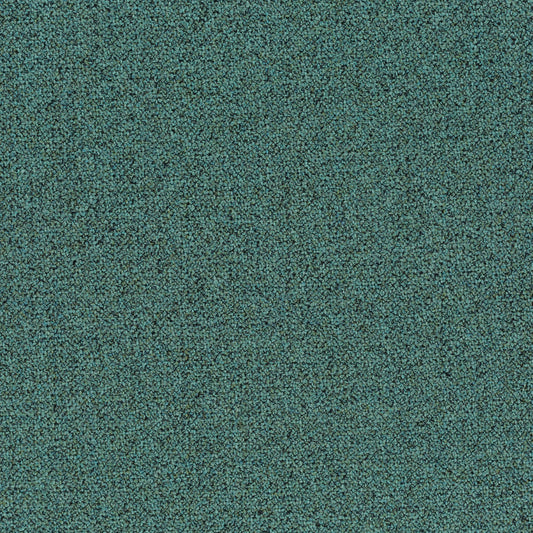 Chivasso Bonsai Reboot Colour 29