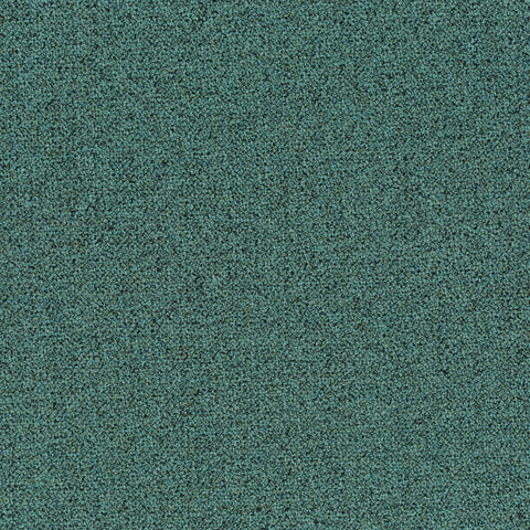 Chivasso Bonsai Reboot Colour 29