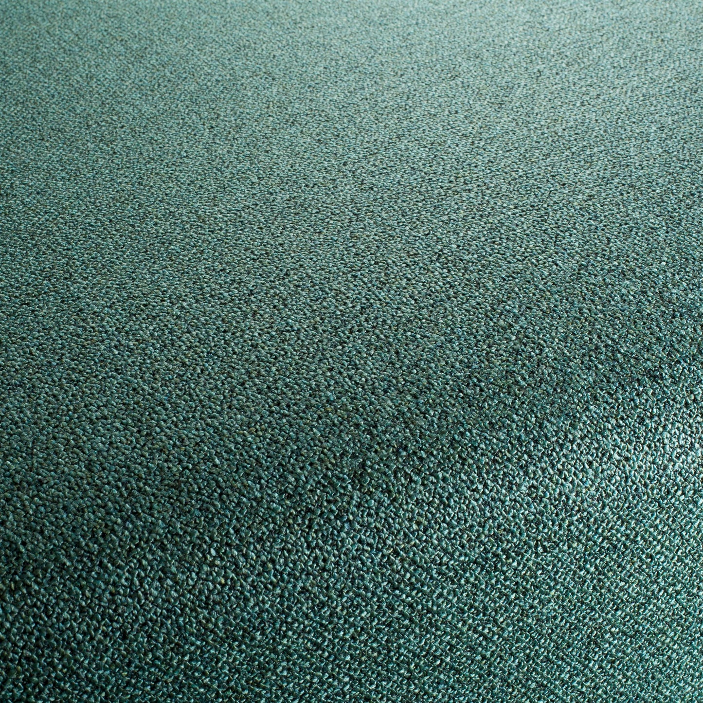 Chivasso Bonsai Reboot Colour 29